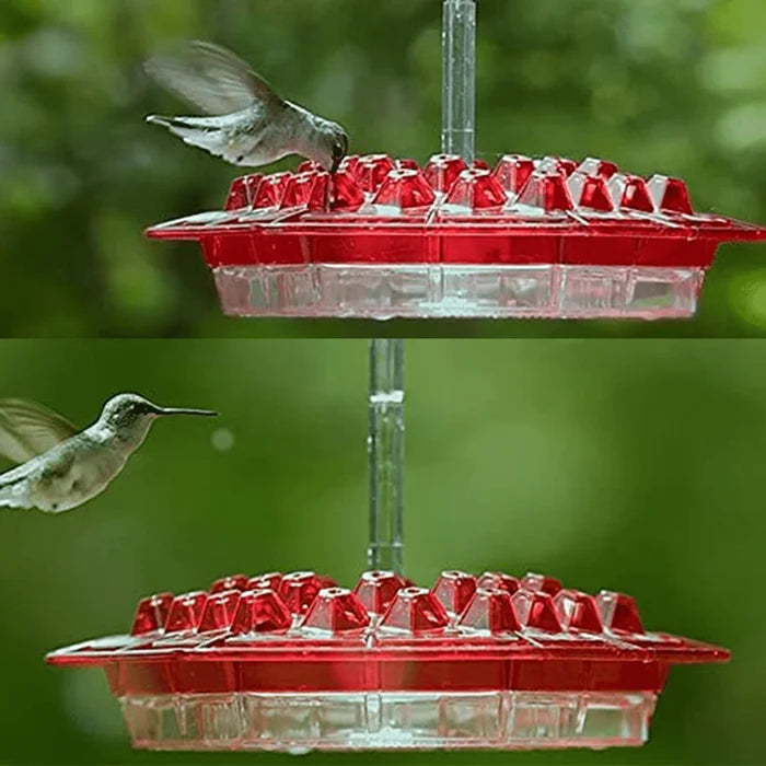 Sweety Hummingbird Feeder