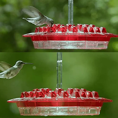 Sweety Hummingbird Feeder