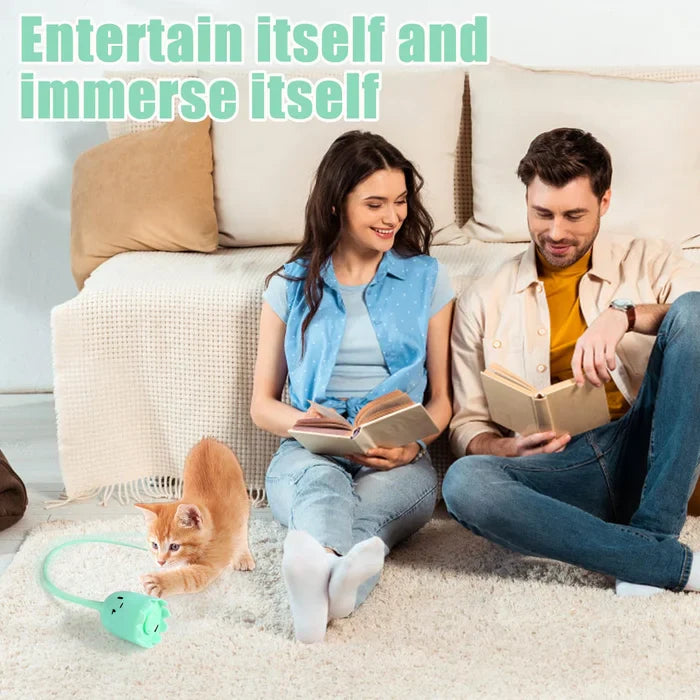 Most High-Tech Electric Cat Toy