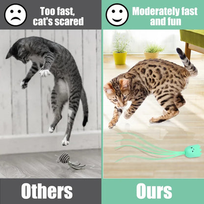 Most High-Tech Electric Cat Toy