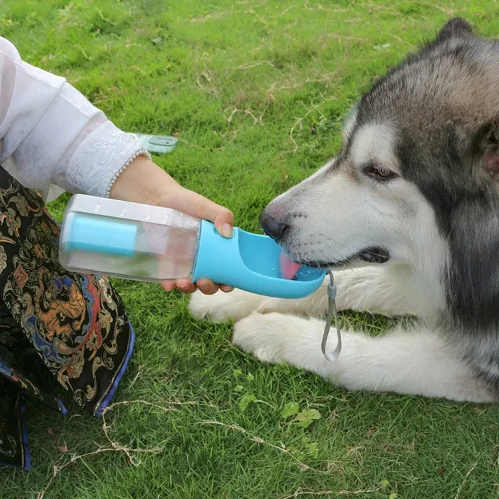 3 in 1 Portable Pet Water Bottle